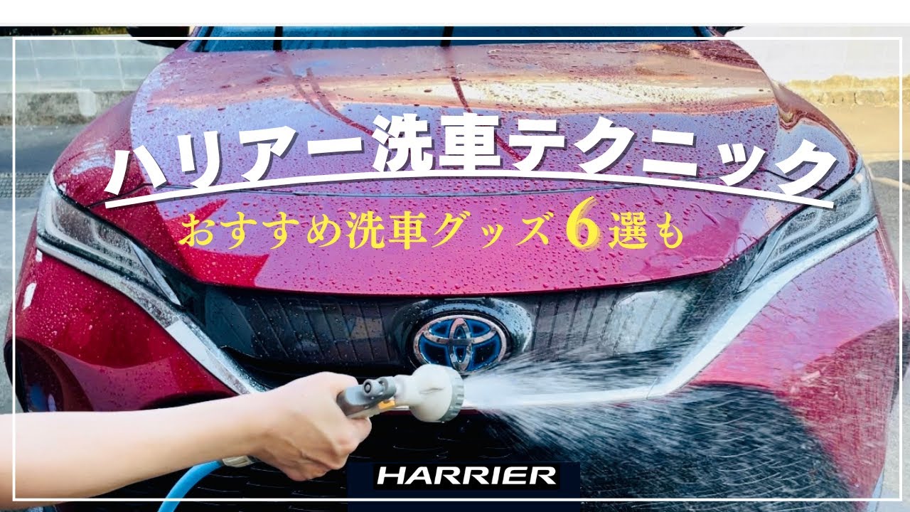 Harrier Z Leather Package] Demonstration of the basics of hand