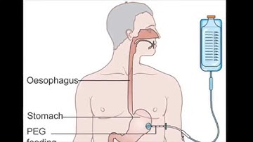 Bioethics Interview Project