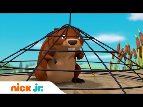 Щенячий патруль | Щенки спасают бобров | Nick Jr. Россия