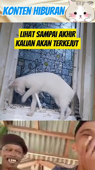 KUCING CERDAS‼️#lucu #funny #shortsfeed
