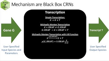 Lecture 2: Compiling Chemical Reaction Networks with BioCRNpyler Part 1