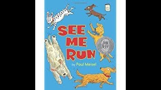 See Me Run by Paul Meisel