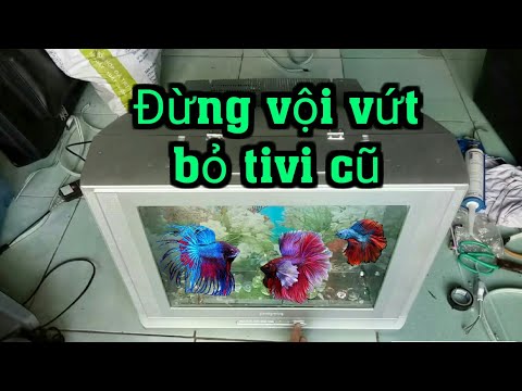 Video: Cách Làm Bể Cá Từ TV Cũ Bằng Chính Tay Bạn