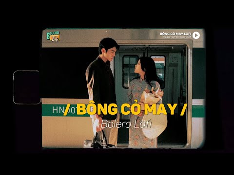 Bông Cỏ May