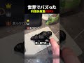 料理失敗集 #衝撃 #面白集 #料理