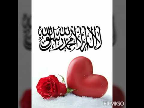 شكرا يا ربي شكرا حالات واتس أب