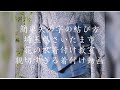 簡単矢の字の結び方　半幅帯の結び方　親切すぎる着付け動画　埼玉県さいたま市　花の衣着付け教室