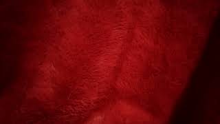 Cleaning My Room Part 2