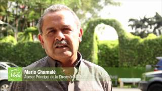 Seguridad Alimentaria Y Nutricional En Guatemala