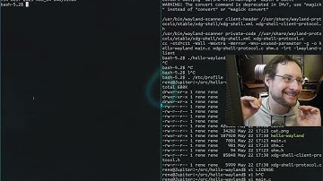 Writing a Wayland client from scratch! How hard can it be? [minimal native Application]