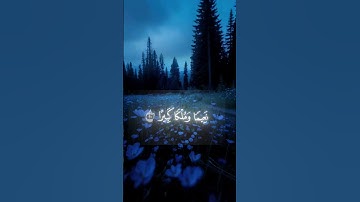 محمد اللحيدان#قرآن قرآن كريم# لا إله الا الله
