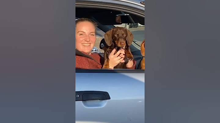 The greatest surprise at a red light ❤️