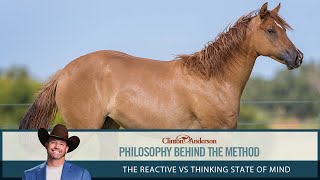 The Reactive vs Thinking State of Mind  The Philosophy Behind the Downunder Horsemanship Method