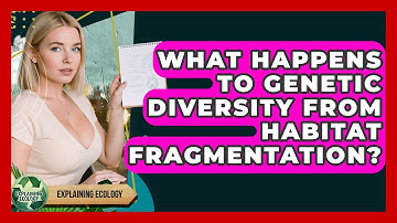 What Happens To Genetic Diversity From Habitat Fragmentation? - Explaining Ecology