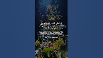 تلاوة خاشعة تهز القلوب - سورة الزمر 68-70 💔