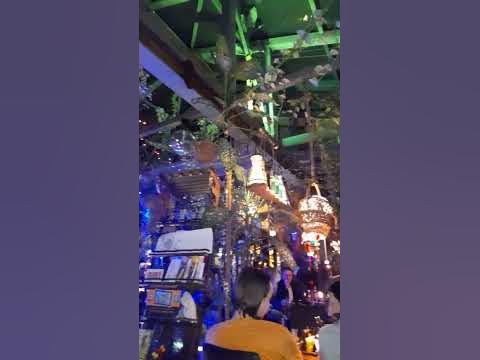 Неповторимая атмосфера кафе УПИТАННЫЙ ЕНОТ - YouTube