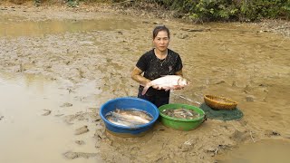 Catch fish in the pond to renovate the pond, Buy a new herd of piglets to raise, Dien Tieu Van