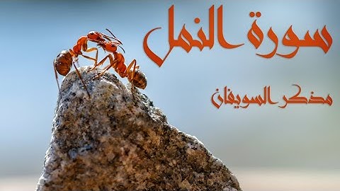 " أَءِلَـٰهٌۭ مَّعَ ٱللَّه " - سورة النمل | مذكر السويفان