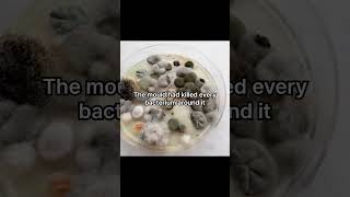 The Accidental Discovery of Penicillin #history #amazing #medical #science #sciencefacts