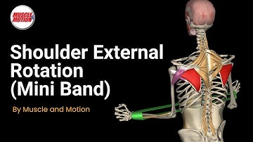 Strengthen Your Rotator Cuff: Shoulder External Rotation with Mini Band