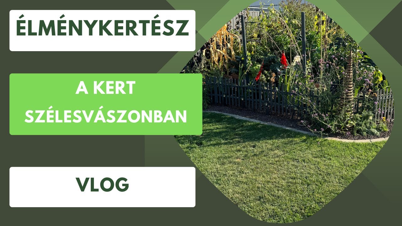 A kert szélesvászonban- Mekkora a kert valójában?🏡