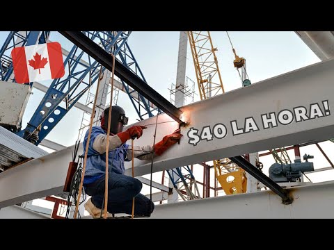 Video: ¿Cuáles son los trabajos mejor pagados en Canadá?