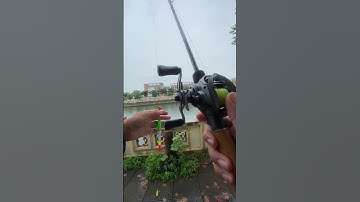 Câu đài bằng cần lure, test phao chế khá thành công. #fishing #cauca #viral #shorts #vuongvlog
