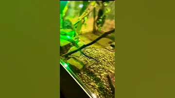 143 فلما ألقوا قال موسى ما جئتم به السحر إن الله سيبطله مكررة لإبطال السحر بإذن الله 