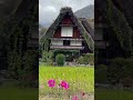 Làng cổ Shirakawago p1