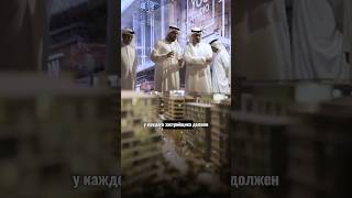 Как проверить продавца перед покупкой недвижимости? OAЭ #инвестиции #дубай #недвижимость