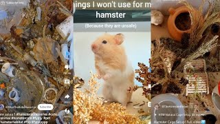 Proper Hamster Care Tiktok/Shorts Compilation