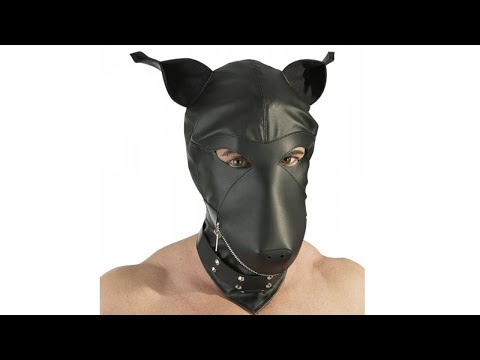 4024144032730 Кожаный шлем собаки Devotion Maske / Fetish Collection Lederimitat Dog Mask S-L