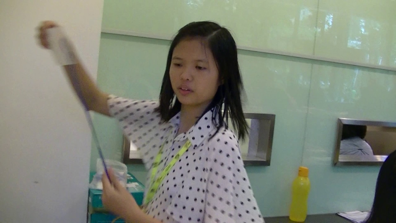 Agnes, Education Fair February 2017, KLCC gundam narrative