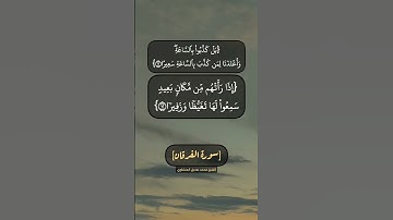 سورة الفرقان الآية ١٠ الى ١٤ بصوت الشيخ محمد صديق المنشاوي