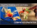 🐟Подводная охота в Турции. Стреляем и готовим крылатку вместе с ApneaPro.