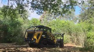 NEW ASV 135 FORESTRY! Extremely Thick....Bee's... they were all over the Machine!  #FORESTRYMULCHING