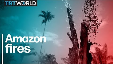 Amazon Fires: More than 70,000 recorded already in 2019