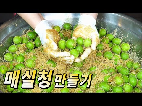 6월은 매실의 계절. 사철 양념이자 더위 물리치는 음료!! 매실청 담그는 법
