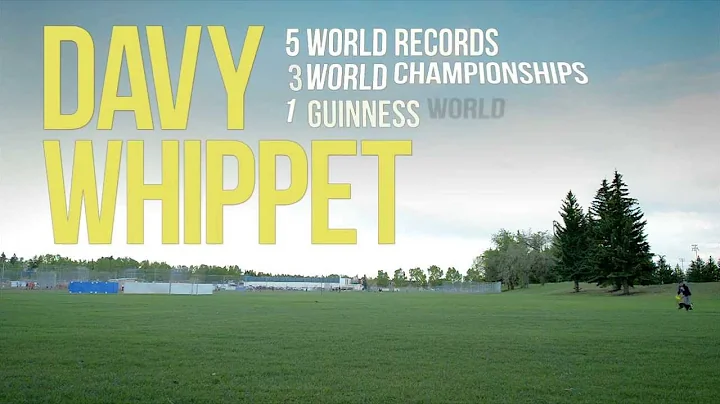 Davy Whippet - Disc Catching World Champion and World Record Holder