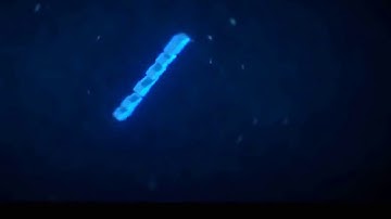 Download FREE Intro Template #239 Blender Only