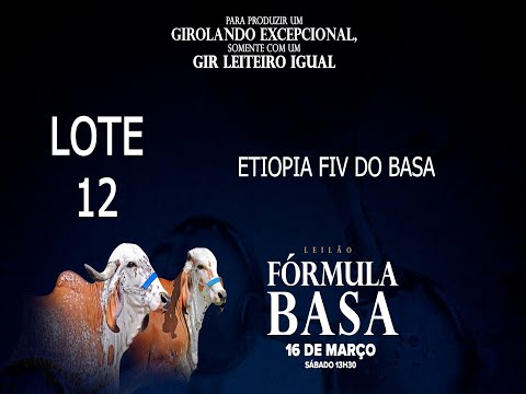 LOTE 12   BASA 2095