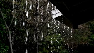 Rain Sounds For Sleeping - Deep Sleep with Heavy Rain Sounds on a Roof (No Thunder) 🔴 24/7
