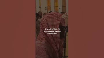{ومن يغفر الذنوب إلا الله}سورة آل عمران الشيخ محمد اللحيدان🤍