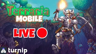 Terraria Mobile #2 | Midnight Stream 🔴