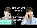 RED VELVET IRENE & SECRET NUMBER SOODAM (LOOK-ALIKE)