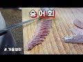 #숭어회뜨는영상/청주수산시장/sashimi
