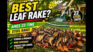 AMES 22-Tine Steel Leaf Rake Review | Best Lawn Rake for Leaves & Thatch?