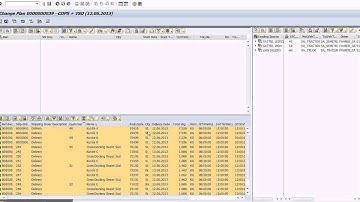 LEO Tour Planning   Cross Docking English