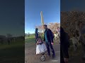 Cherry blossoms washington dc with koupenovi travel family travelwithkids