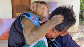 ASMR Monkey Grooming Oddly Satisfying Anxiety Relief Relaxing